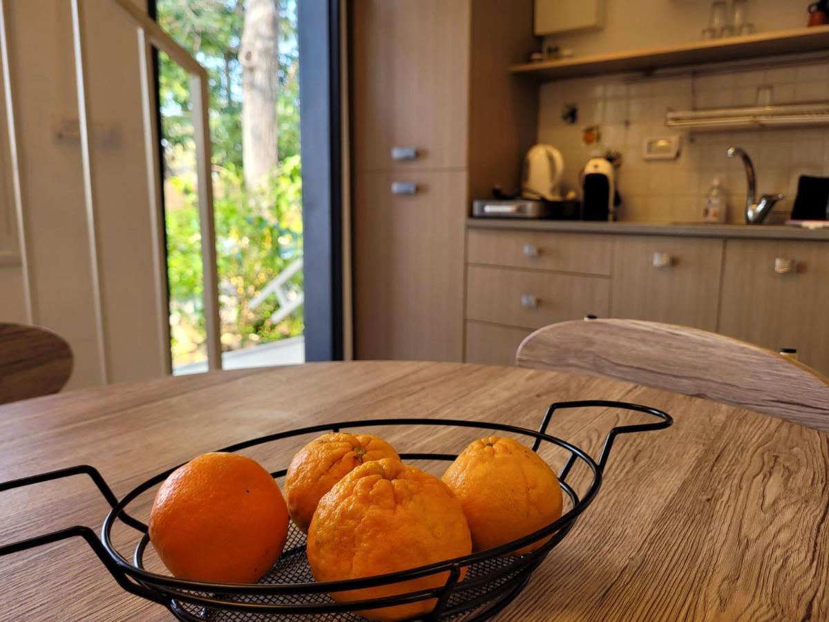 Nuriel Fruit & Guest House Sheʼar Yashuv Εξωτερικό φωτογραφία