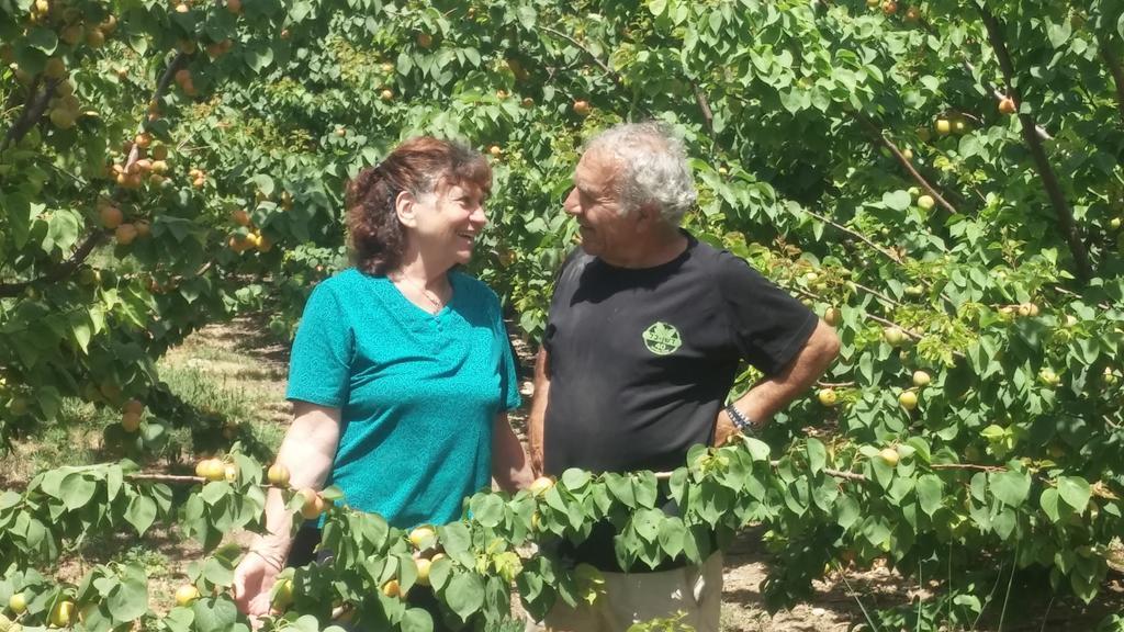 Nuriel Fruit & Guest House Sheʼar Yashuv Εξωτερικό φωτογραφία