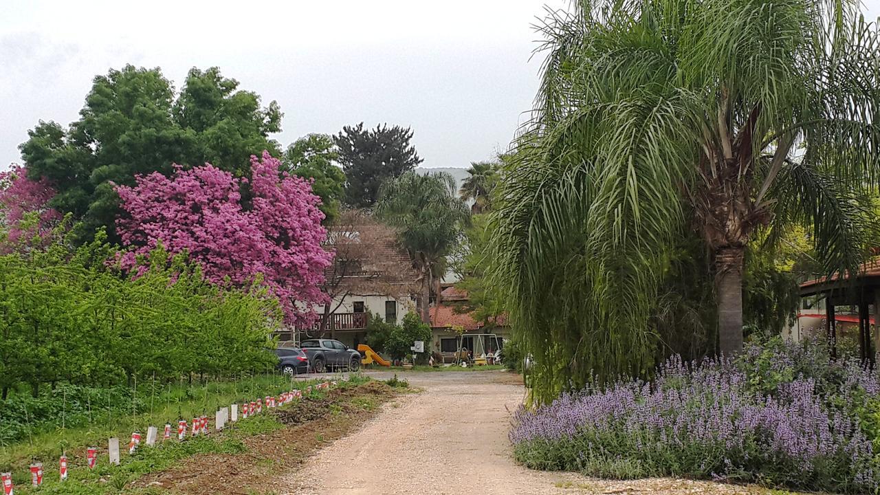 Nuriel Fruit & Guest House Sheʼar Yashuv Εξωτερικό φωτογραφία