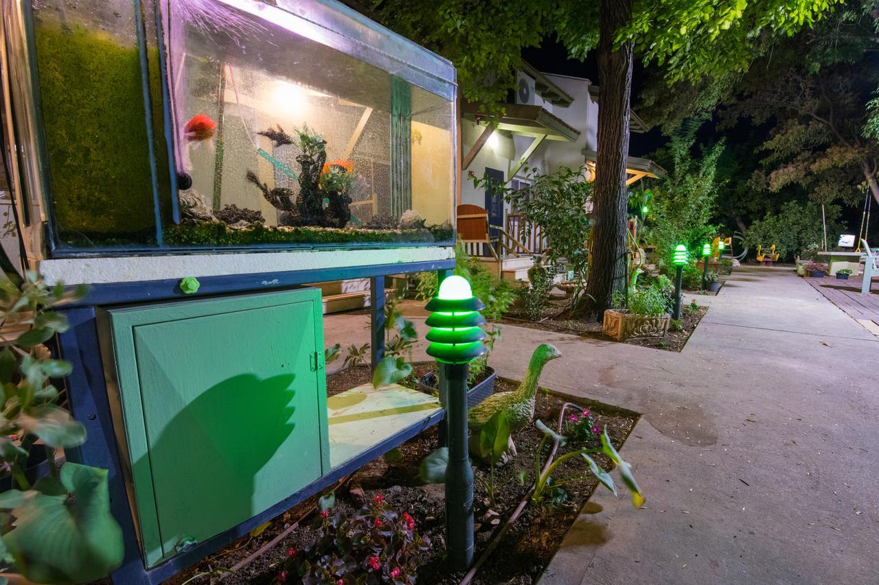 Nuriel Fruit & Guest House Sheʼar Yashuv Εξωτερικό φωτογραφία